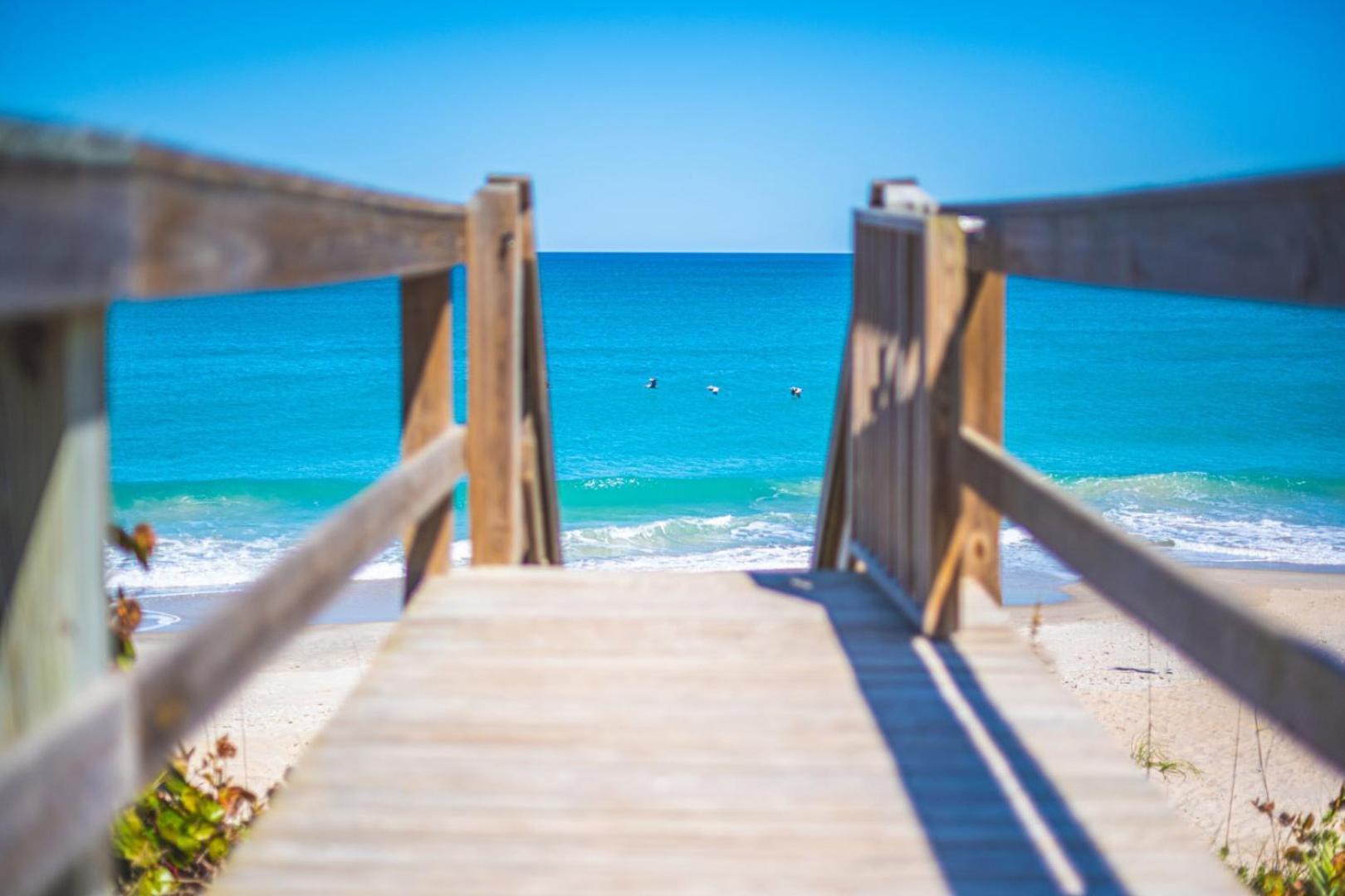 Tranquility Seahorse Suite - Oceanfront Paradise! Melbourne Beach Exterior foto